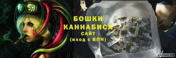 apvp Арсеньев