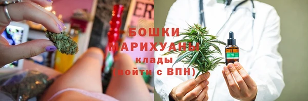 spice Аркадак