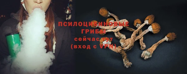 apvp Арсеньев