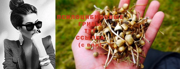 стаф Сафоново