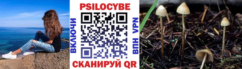 Псилоцибиновые грибы прущие грибы ссылка на мегу маркетплейс Сурск закладки